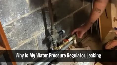 Why Is My Water Pressure Regulator Leaking: 8 Causes [Safety]